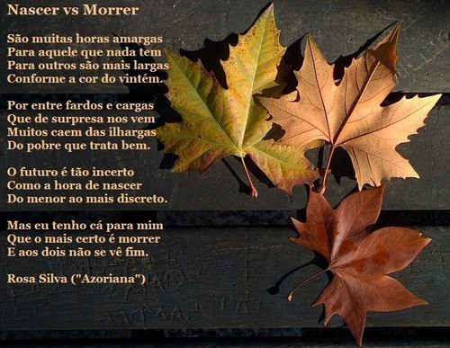 Nascer vs Morrer Nascer vs Morrer
