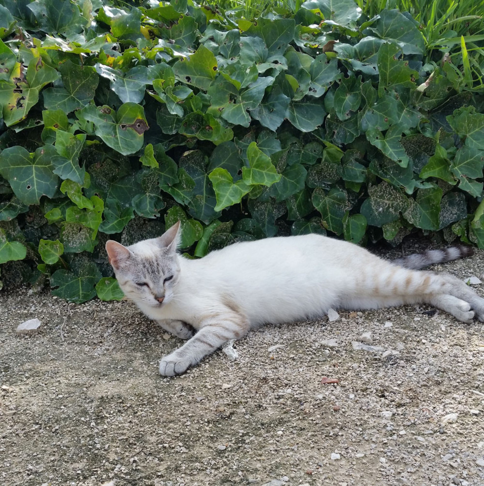 joana22junho18.jpg joana22junho18.jpg