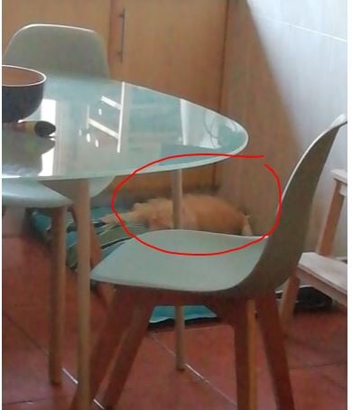 Nao_me_canso_disto_quem.jpg Nao_me_canso_disto_quem.jpg