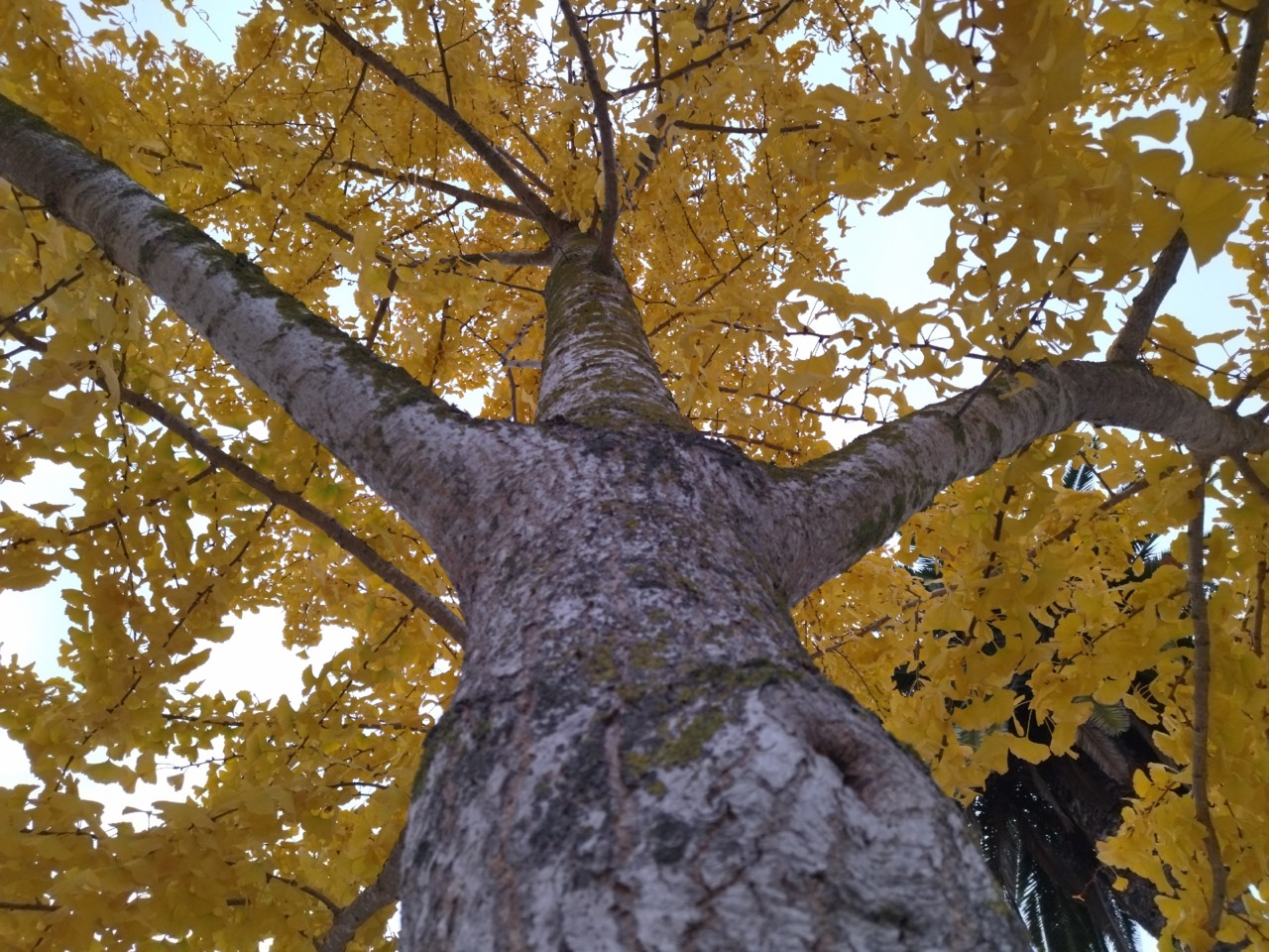 IMG_20211205_112952.jpg