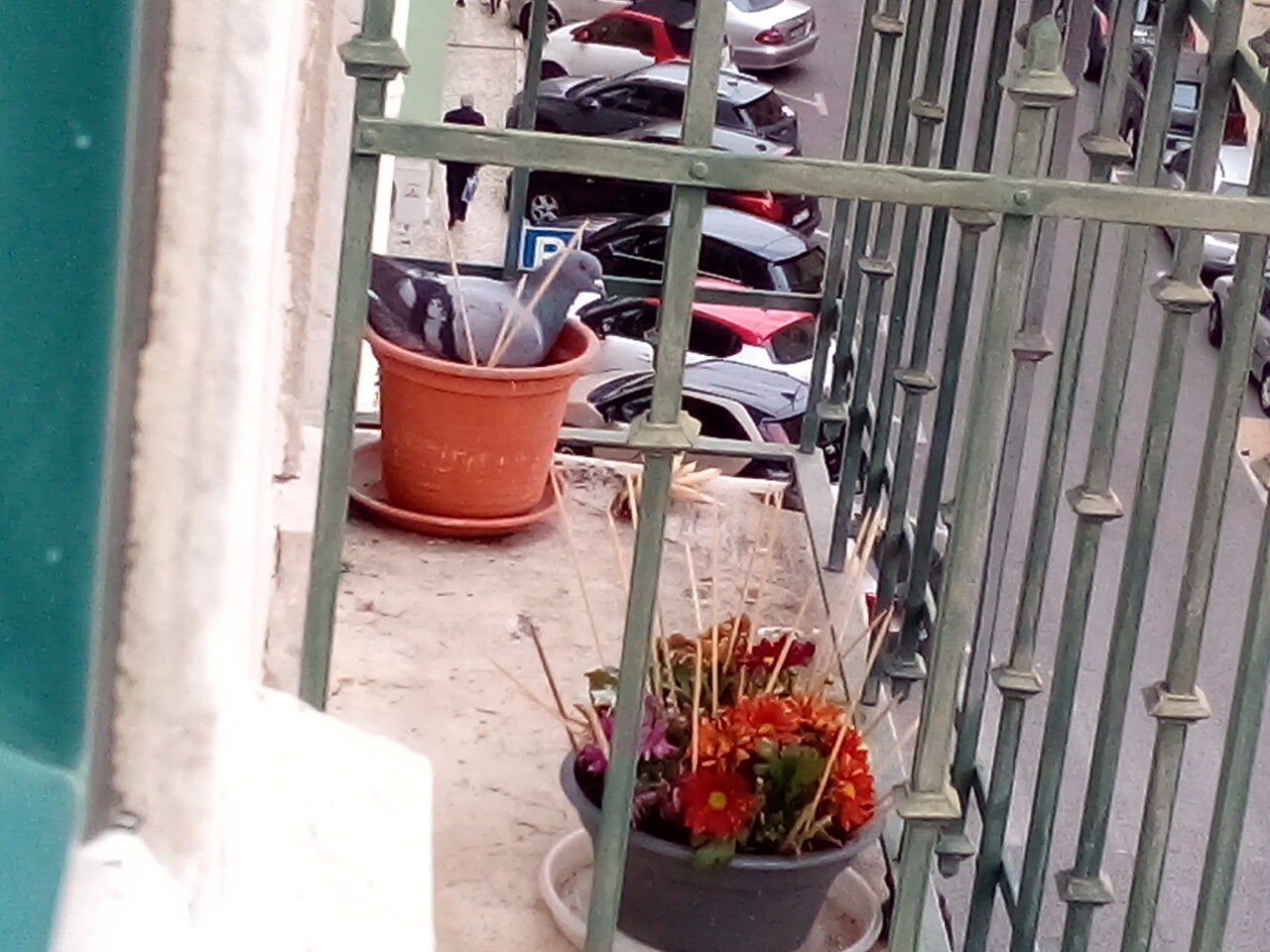 Choco, Lisboa — © MMXXIV