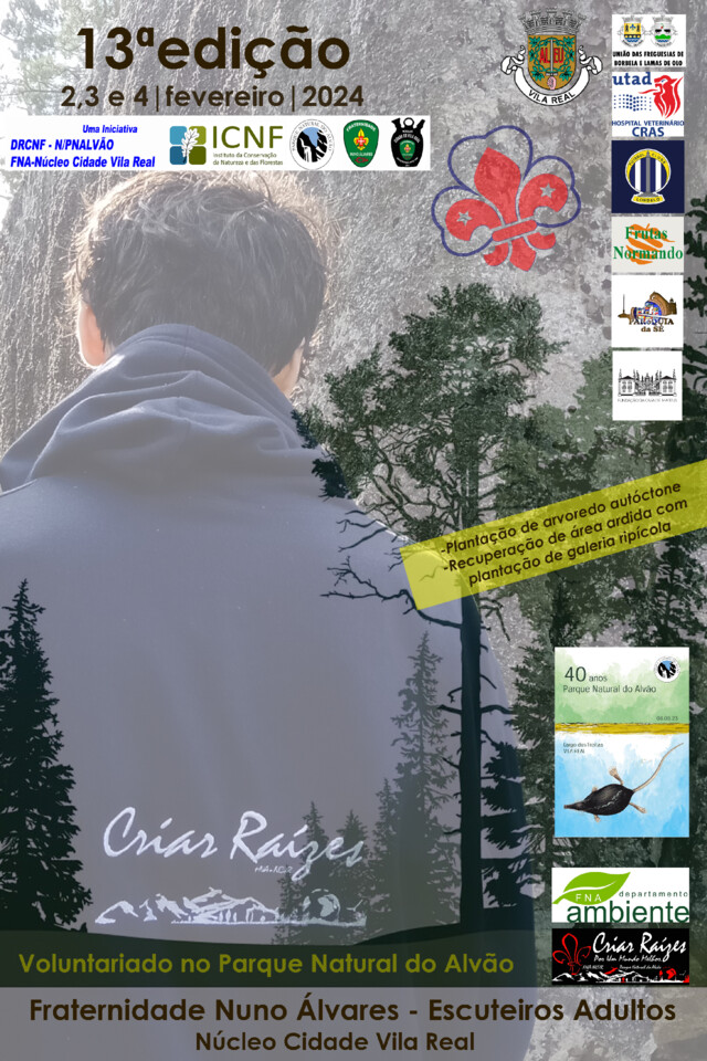cartaz Criar Raizes XIII.jpg
