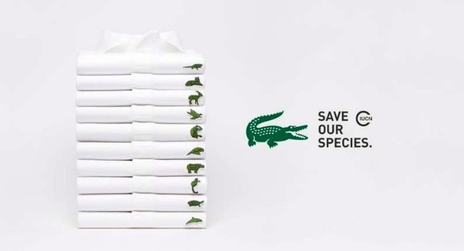 lacoste-change-son-logo-en-l-honneur-des-esp-ces-e