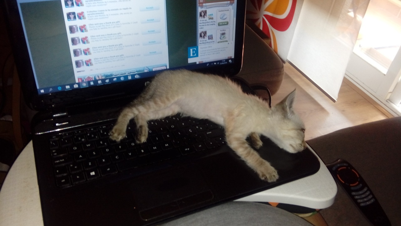 20180625_110006.jpg
