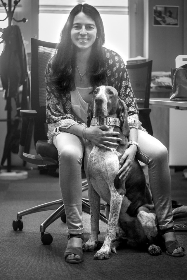 IMG_2550.jpg IMG_2550.jpg