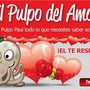 pulpo-love.jpg