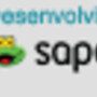 logo_sapo.png
