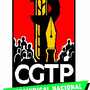 cgtpin_logo.jpg