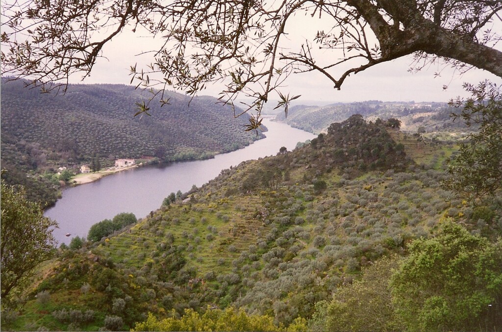paisagem portuguesa