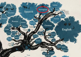 Árvore genelógica das línguas.png