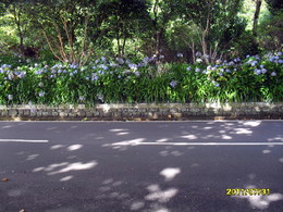 Dia da Freguesia da Serreta 2011