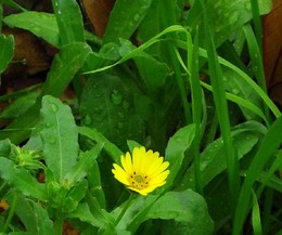 DSCF1079_a.jpg