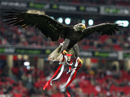 &Aacute;guia Vit&oacute;ria