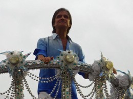 Carnaval Roberto Carlos tema de enredo desfilando