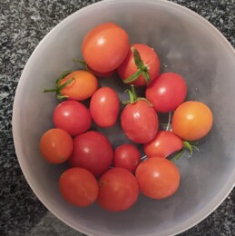 IMG_20250906_211239 (1).jpg