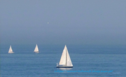 barcos &agrave; vela1mcafe.png