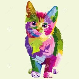 gato.jpg