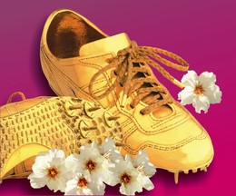 fb_ba26a51689064b3f6318f8d463fdd486