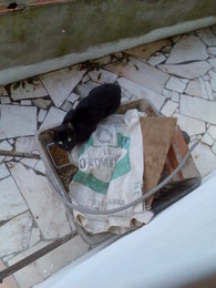 fb_f5a9a49b4d69c8bfeebd113020997263