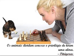 fb_118vyc8EUozZ3EzCidMz